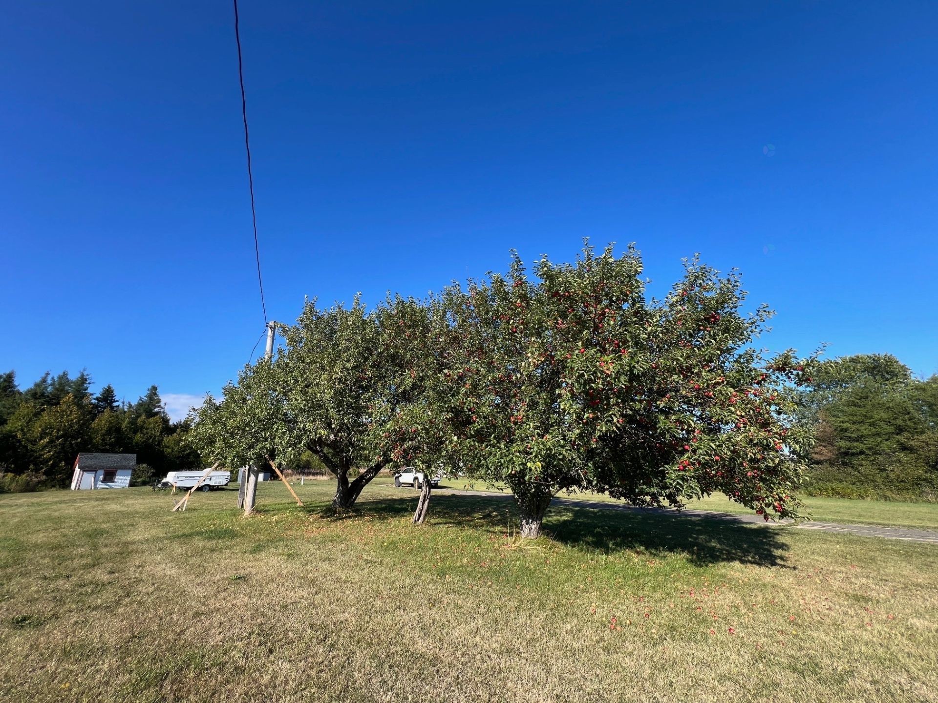 Terre/Terrain - 547 Route 132 E., Bonaventure, QC