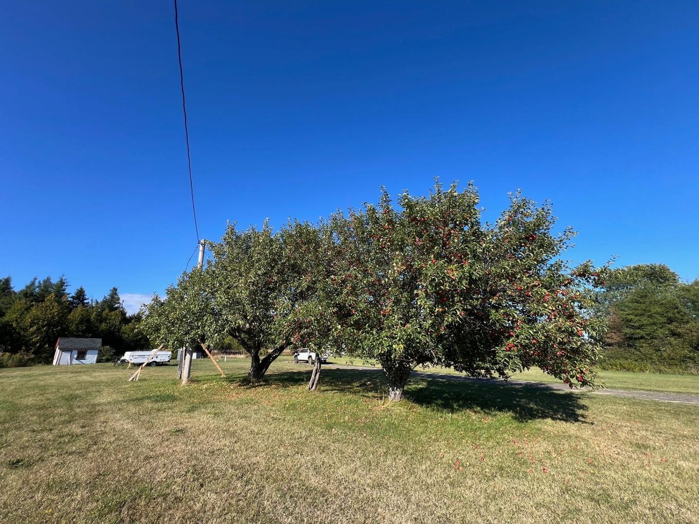 Land/Lot - 547 Route 132 E., Bonaventure, QC