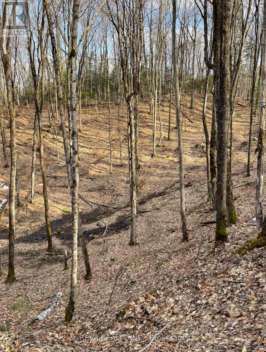 0 Rallison Road, Faraday, ON