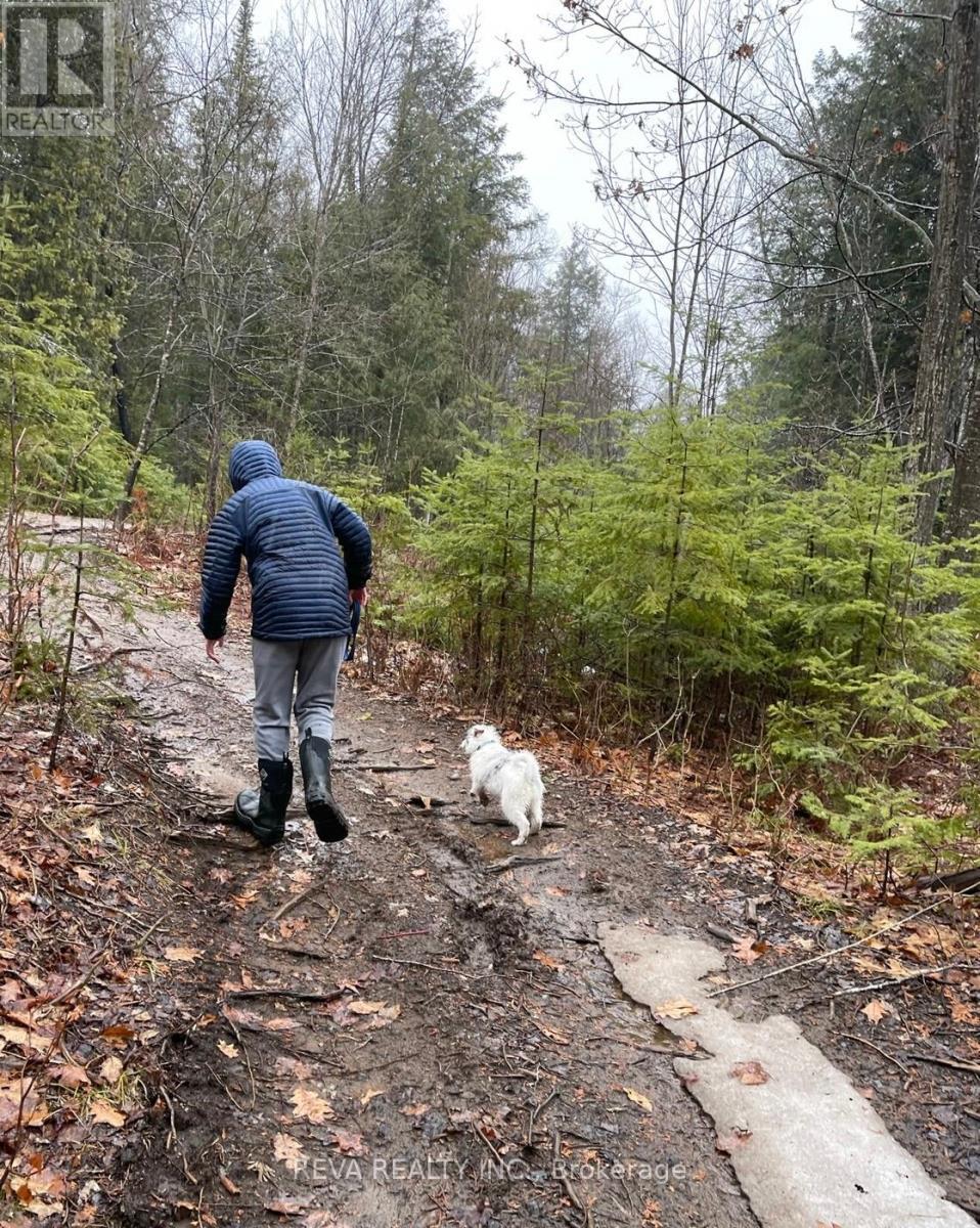 0 Rallison Road, Faraday, ON