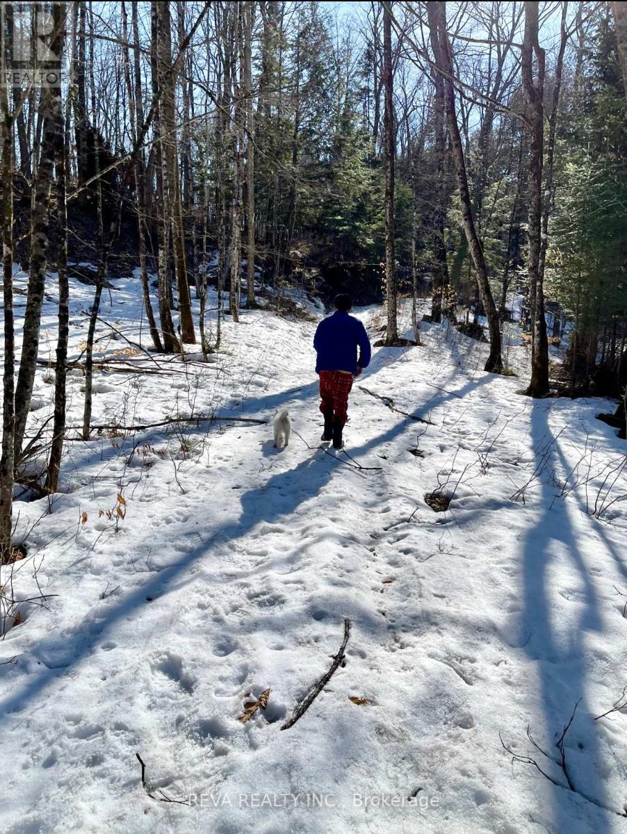 0 Rallison Road, Faraday, ON