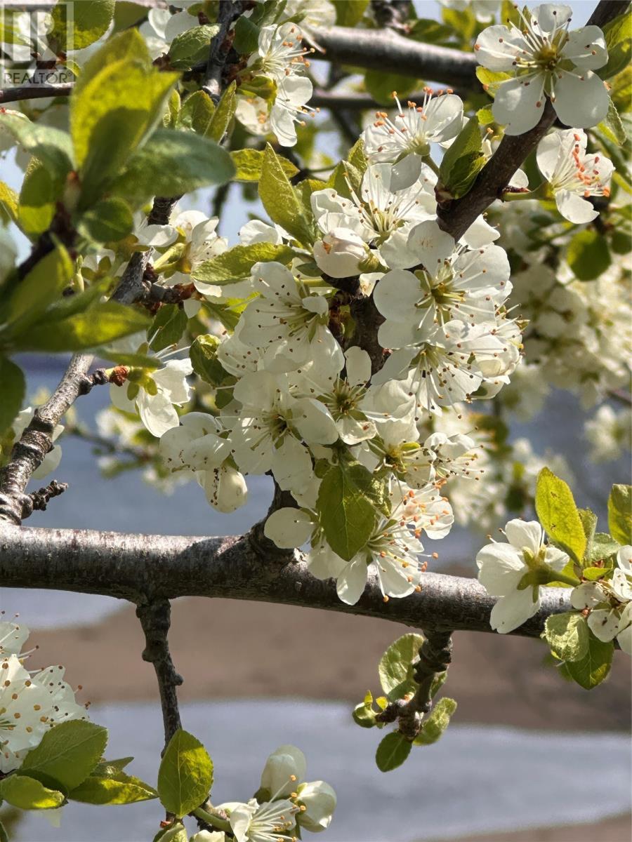 175 Marine Drive, Marystown, NL - Outdoor With Body Of Water With View