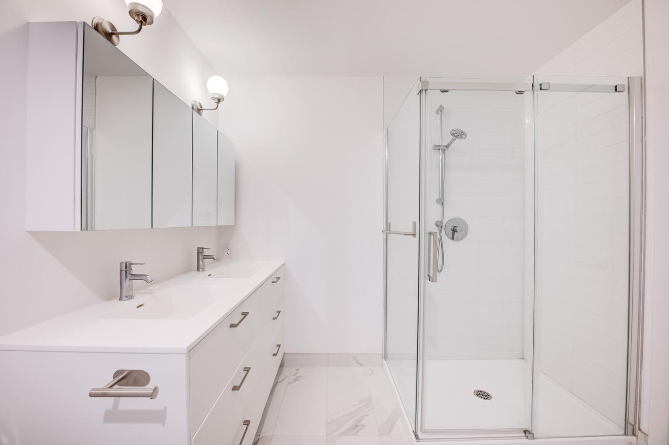 Bathroom - 315-3155 Av. Parkville, Montréal (Mercier/Hochelaga-Maisonneuve), QC - Indoor Photo Showing Bathroom