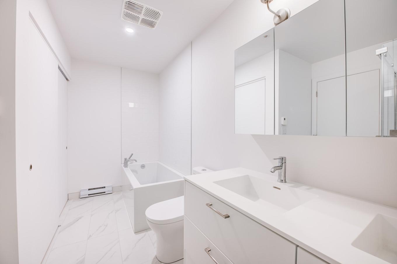 Bathroom - 315-3155 Av. Parkville, Montréal (Mercier/Hochelaga-Maisonneuve), QC - Indoor Photo Showing Bathroom