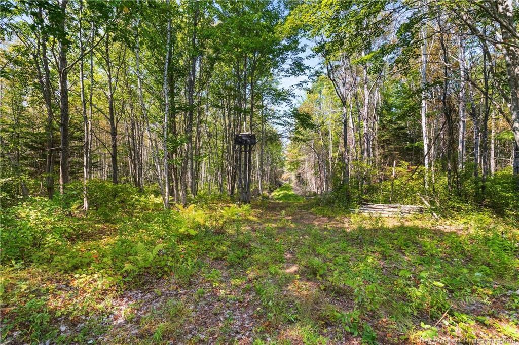 6664 Route 10, Upper Salmon Creek, NB