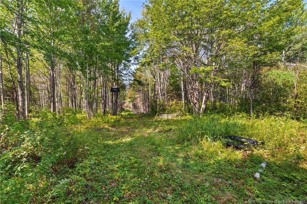 6664 Route 10, Upper Salmon Creek, NB