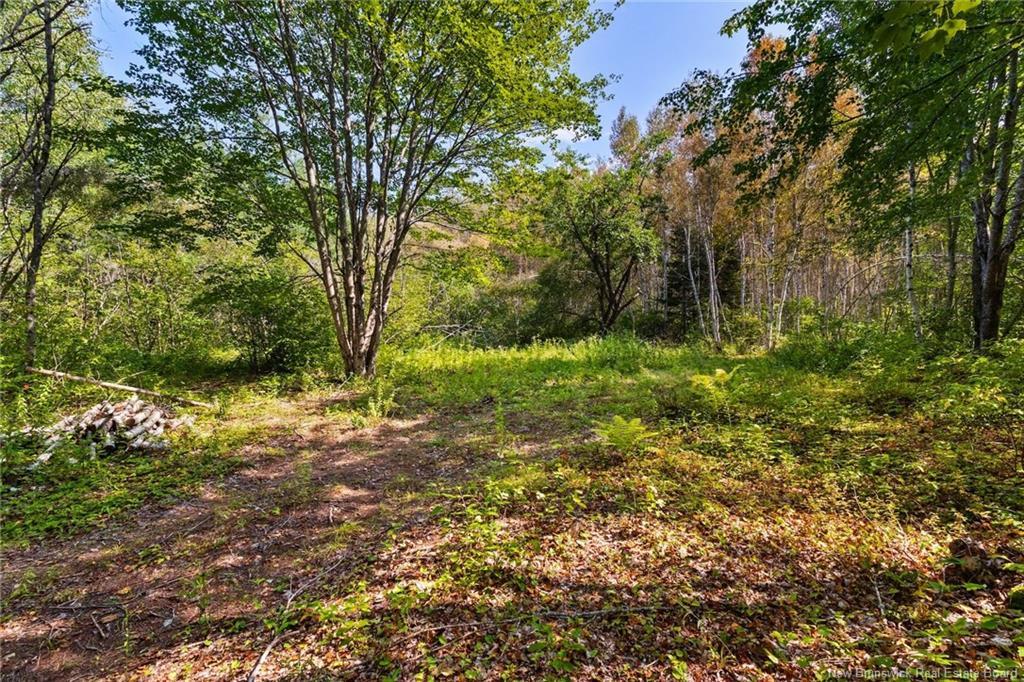 6664 Route 10, Upper Salmon Creek, NB