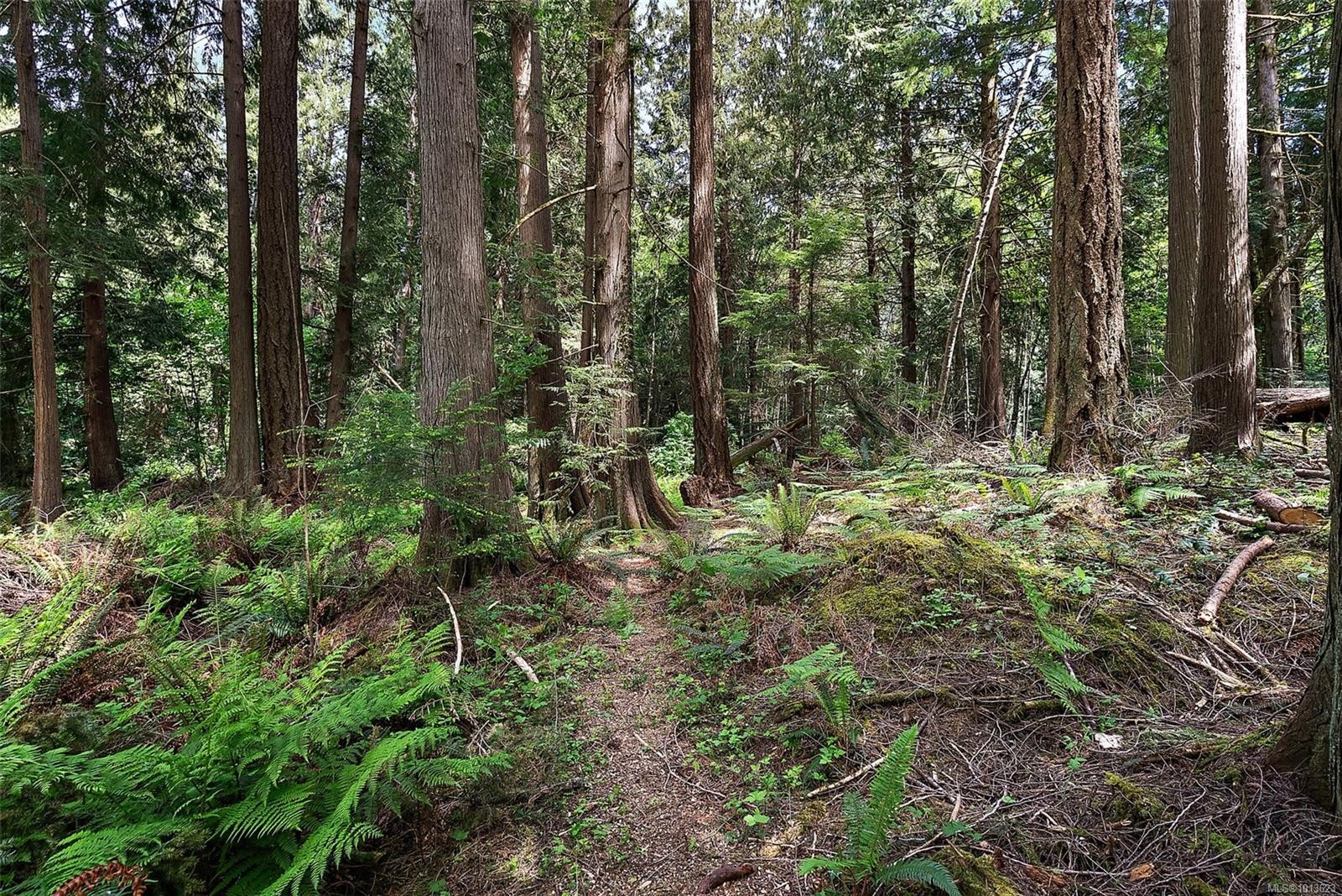 1691 Kangaroo Rd, Metchosin, BC