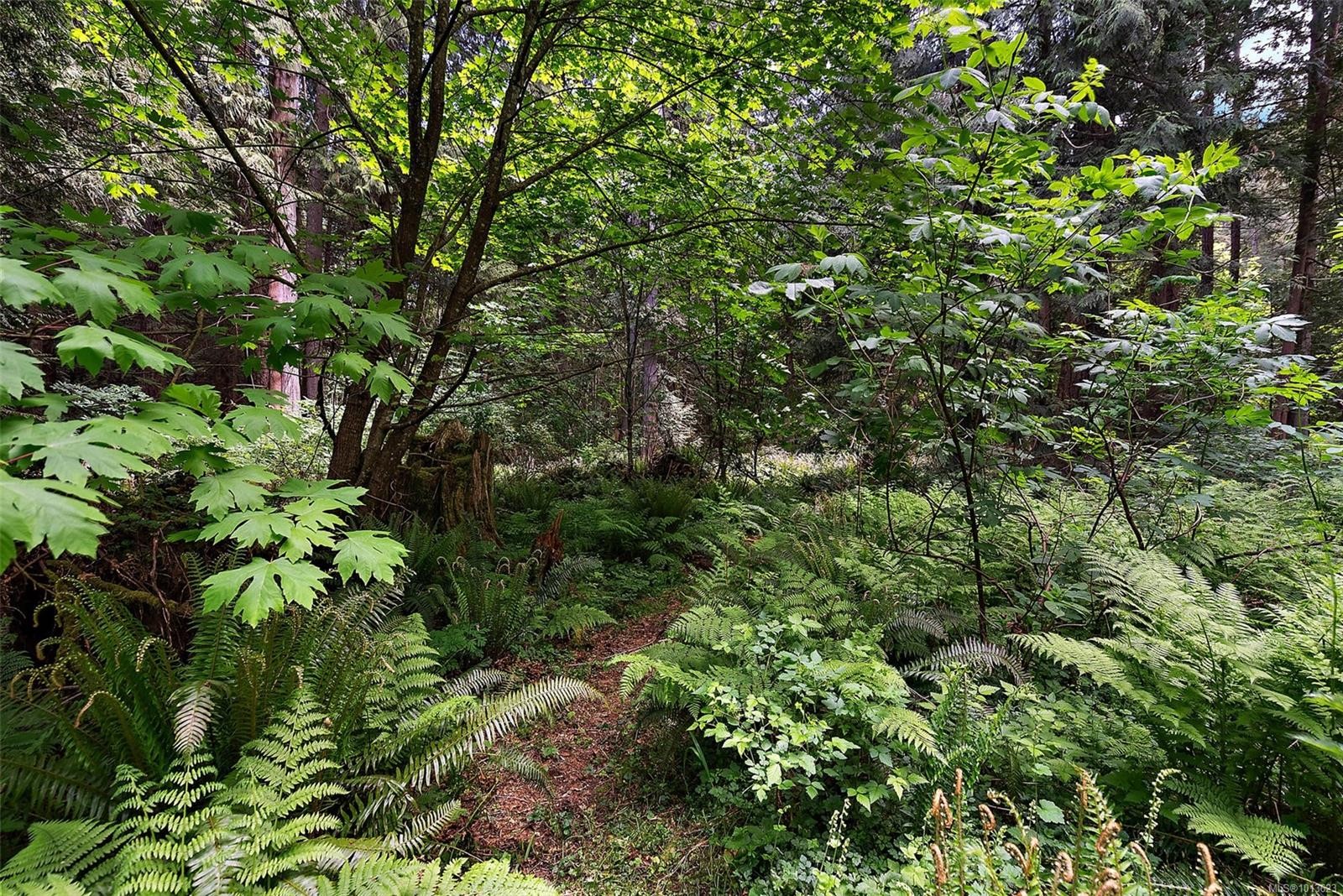 1691 Kangaroo Rd, Metchosin, BC