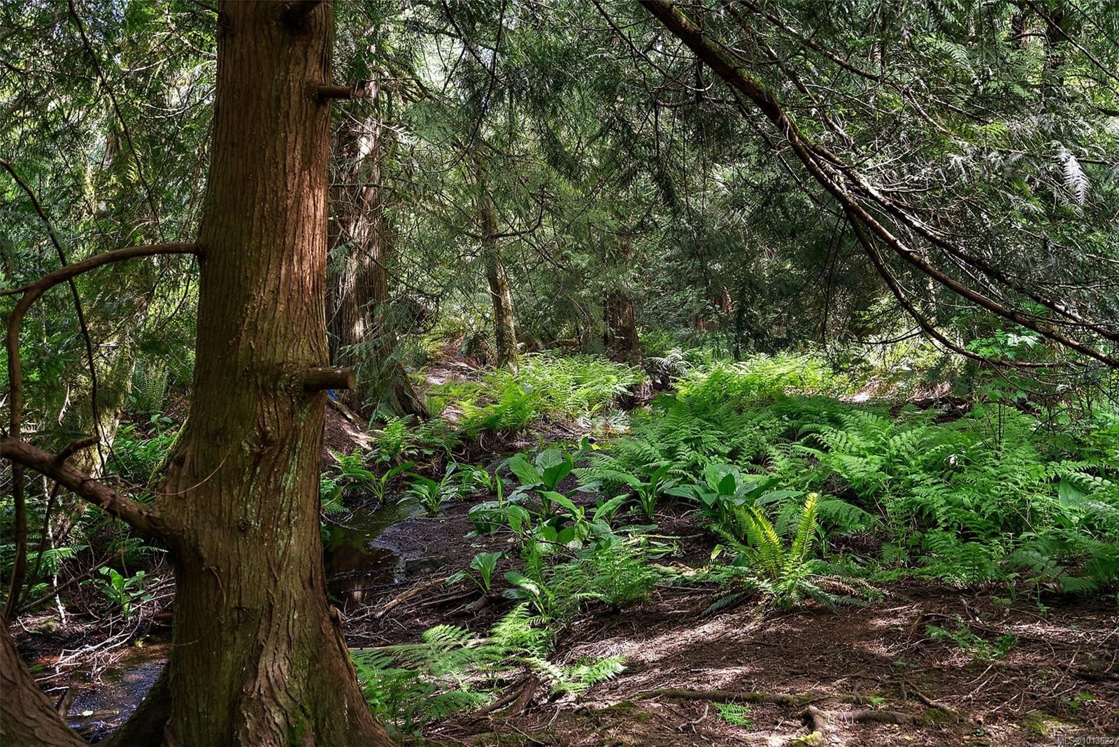 1691 Kangaroo Rd, Metchosin, BC