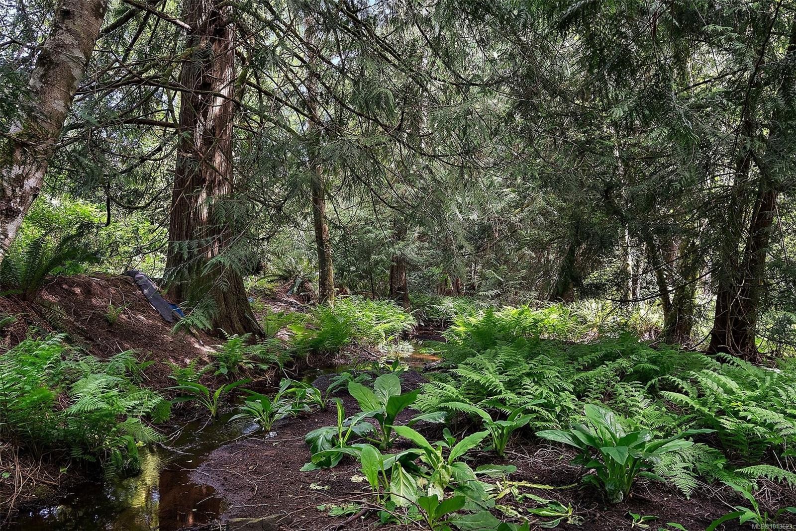 1691 Kangaroo Rd, Metchosin, BC