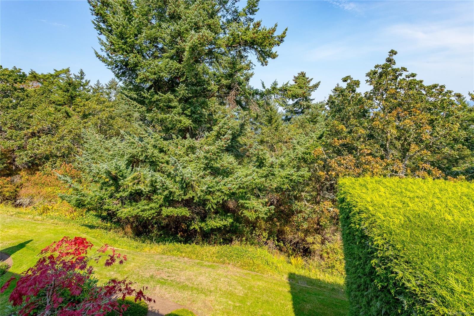 109-2829 Arbutus Rd, Saanich, BC