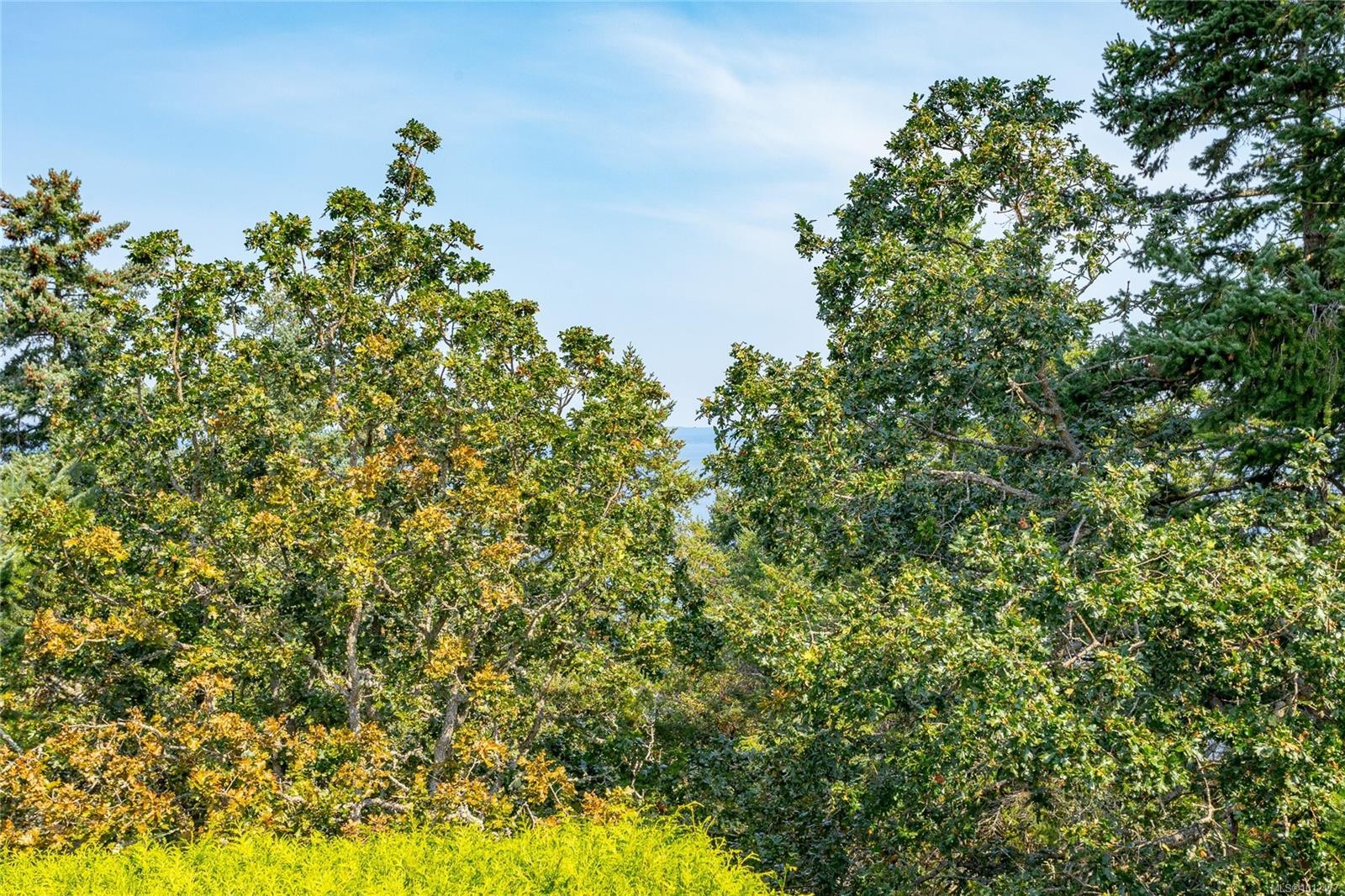 109-2829 Arbutus Rd, Saanich, BC