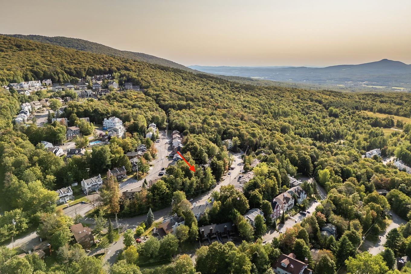 Vue d'ensemble - 124 Place De L'Edelweiss, Sutton, QC - Outdoor With View