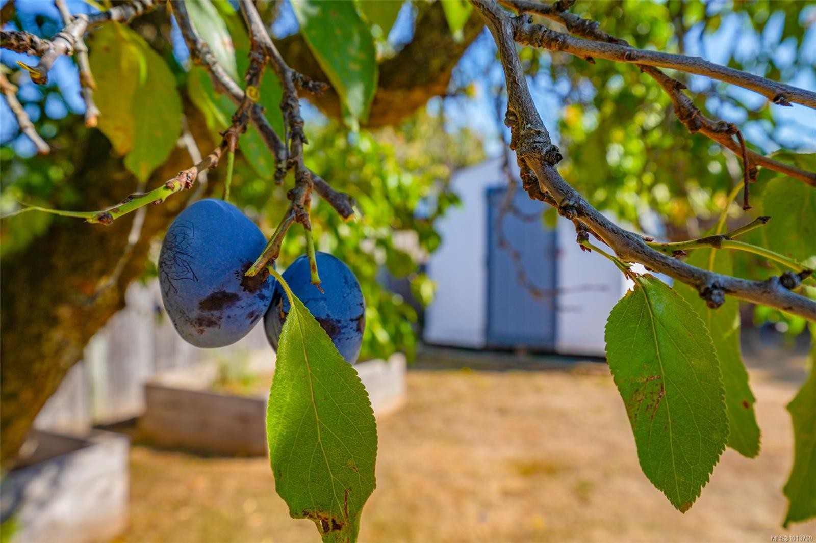 2939 11Th Ave, Port Alberni, BC