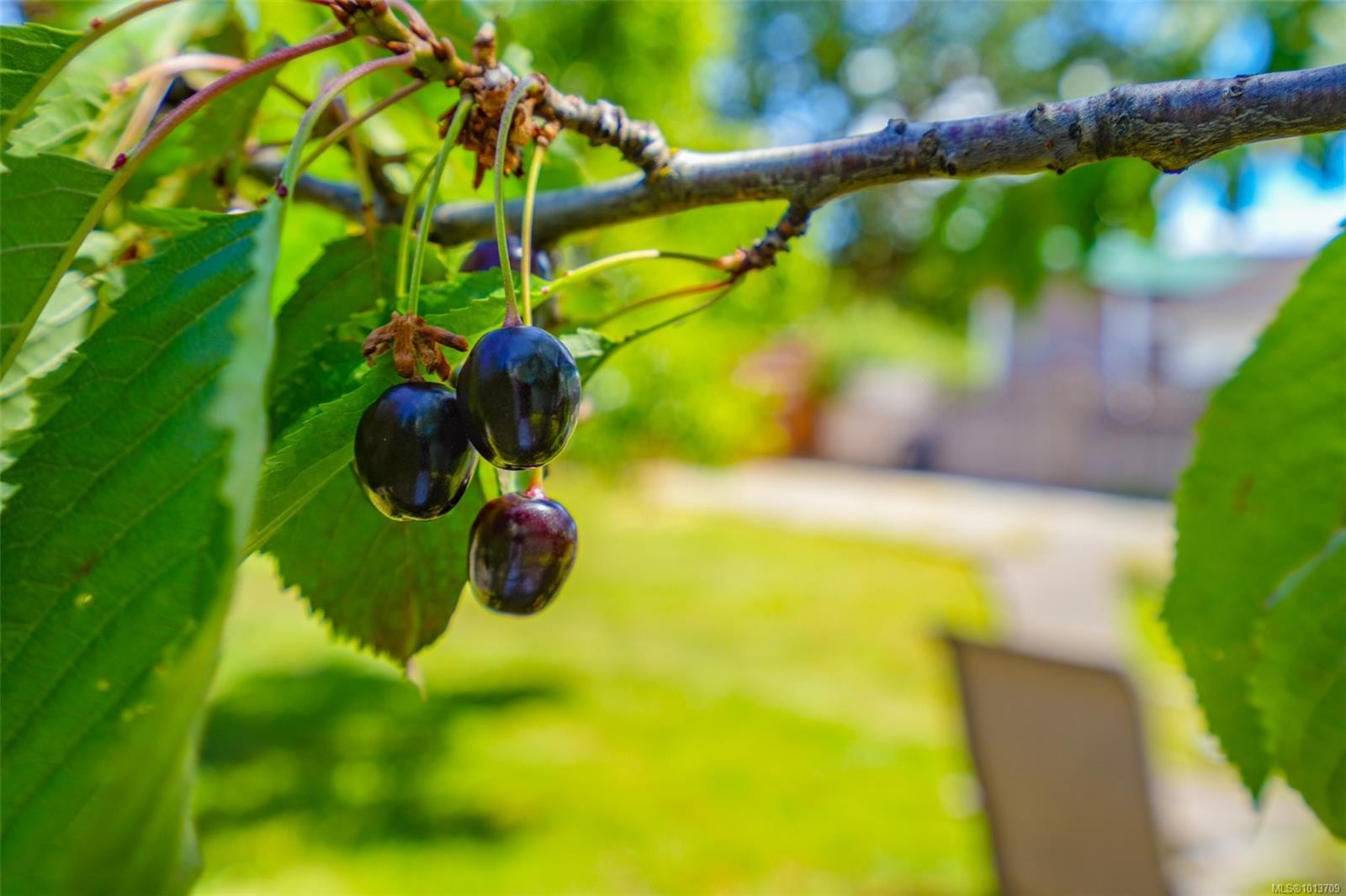 2939 11Th Ave, Port Alberni, BC