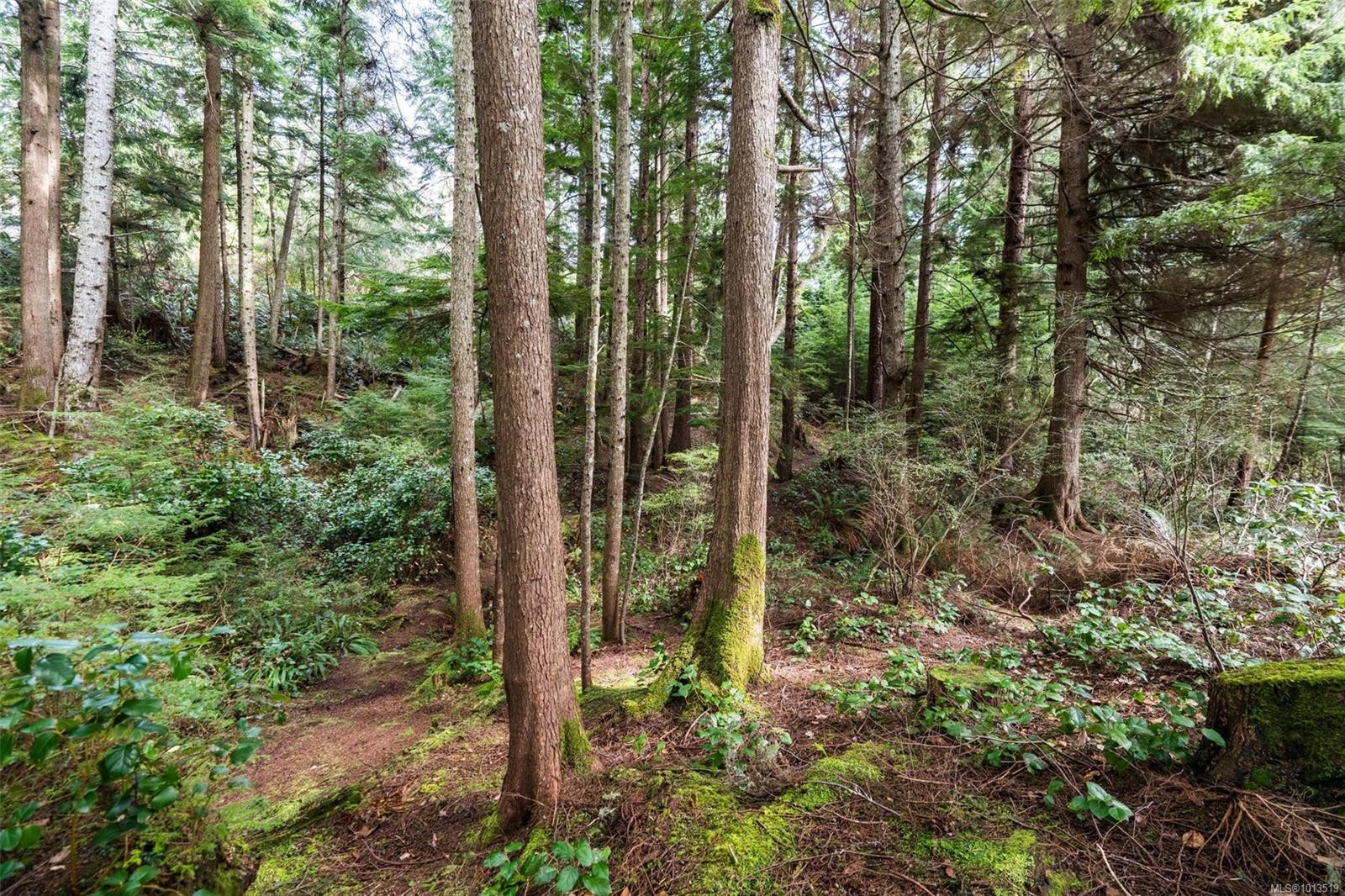 2601 Seaside Dr, Sooke, BC