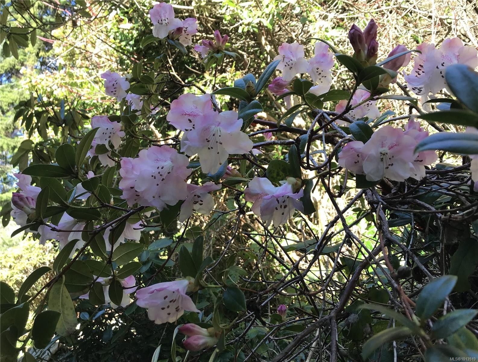 2601 Seaside Dr, Sooke, BC