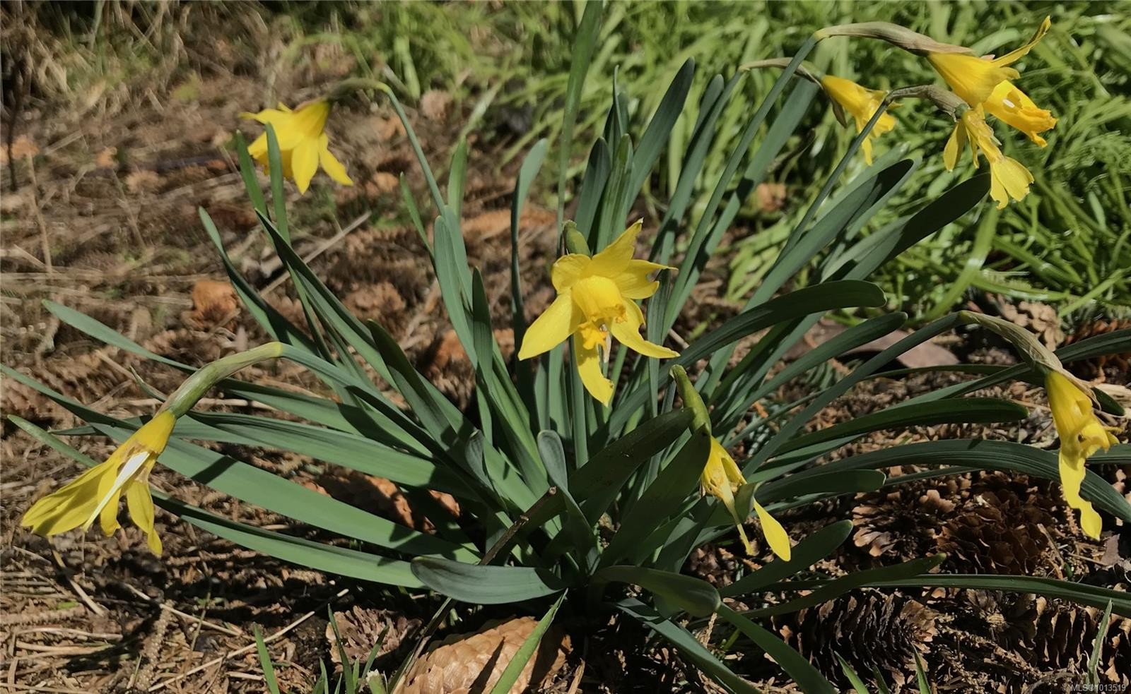 2601 Seaside Dr, Sooke, BC