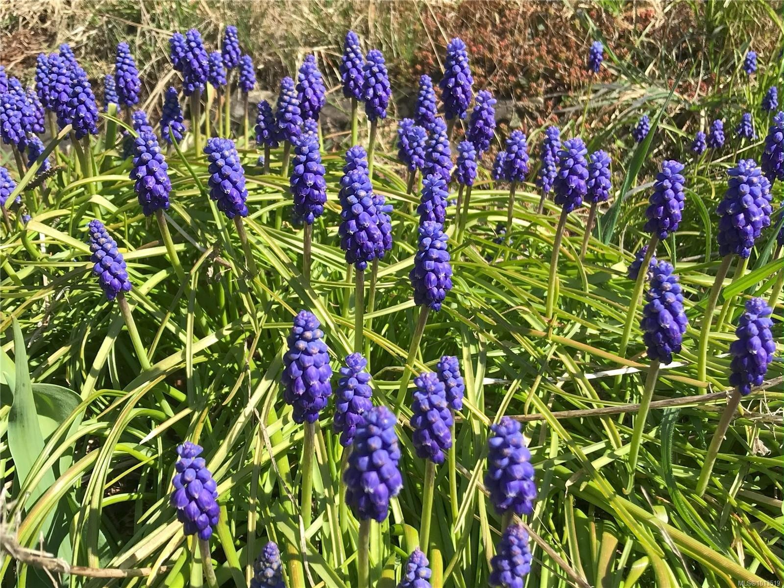 2601 Seaside Dr, Sooke, BC