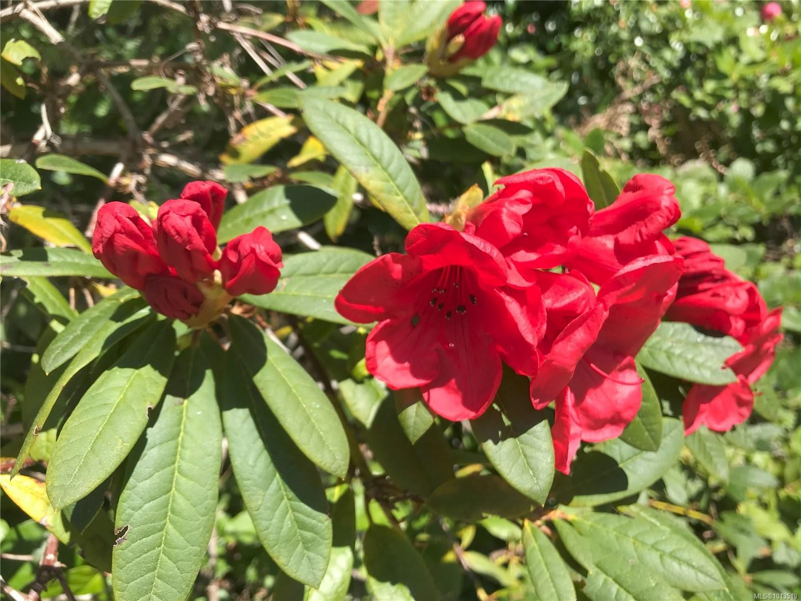 2601 Seaside Dr, Sooke, BC