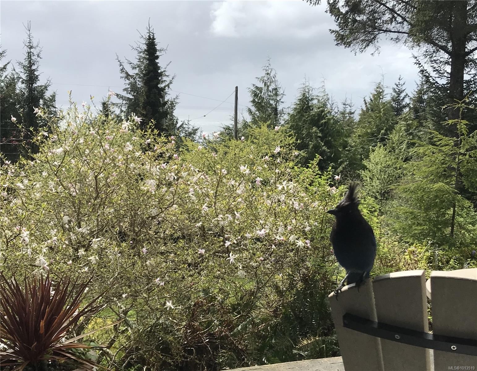 2601 Seaside Dr, Sooke, BC