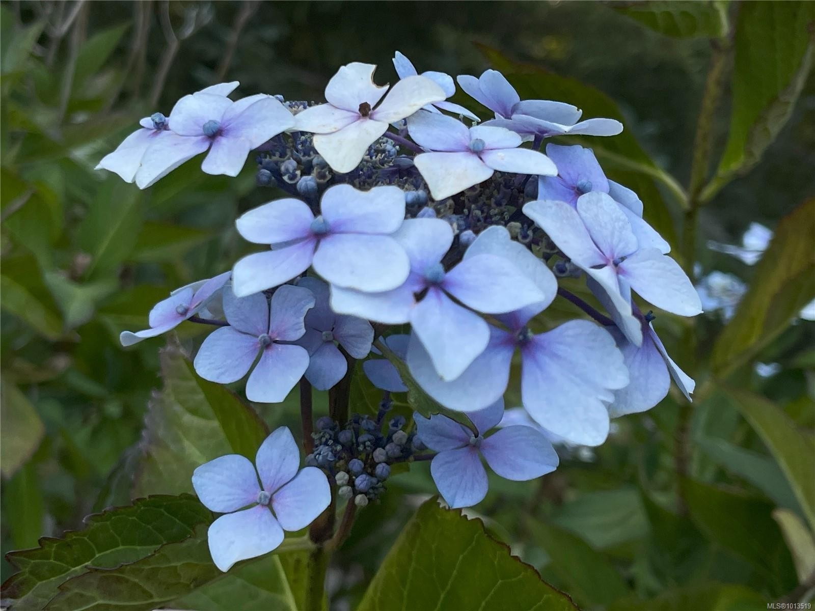 2601 Seaside Dr, Sooke, BC