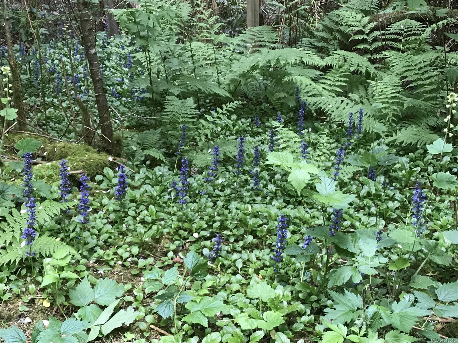 2601 Seaside Dr, Sooke, BC