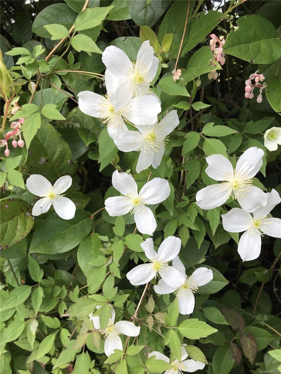 2601 Seaside Dr, Sooke, BC