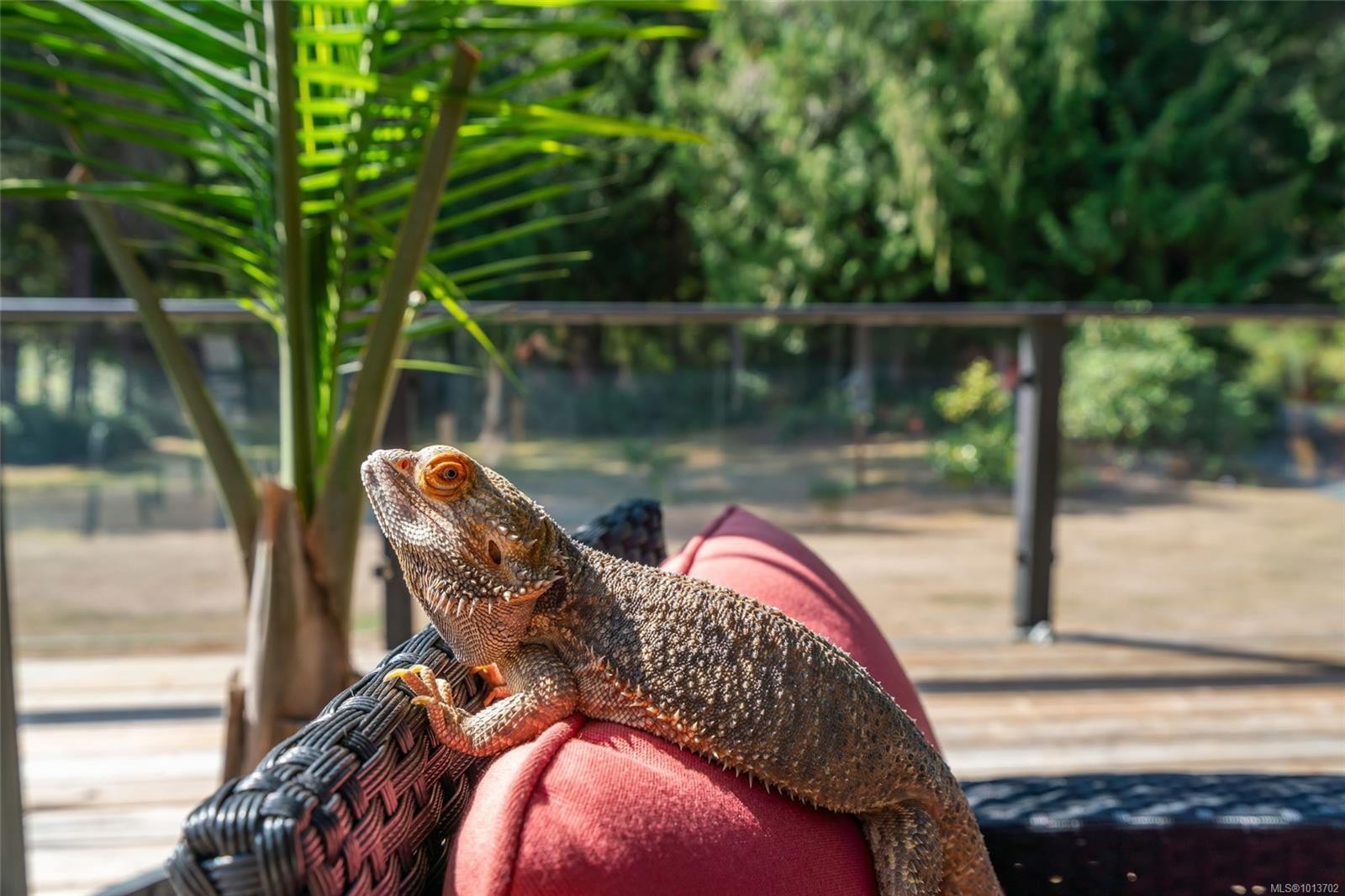 1353 Englishman River Rd, Errington, BC