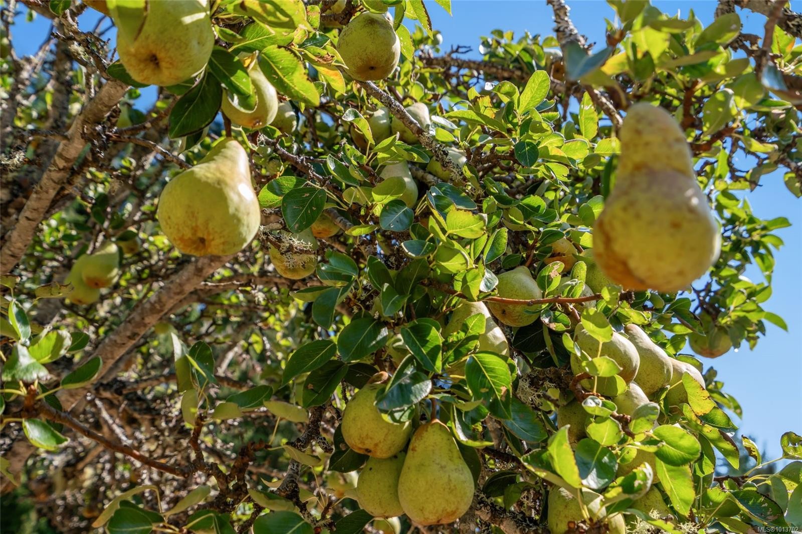 1353 Englishman River Rd, Errington, BC