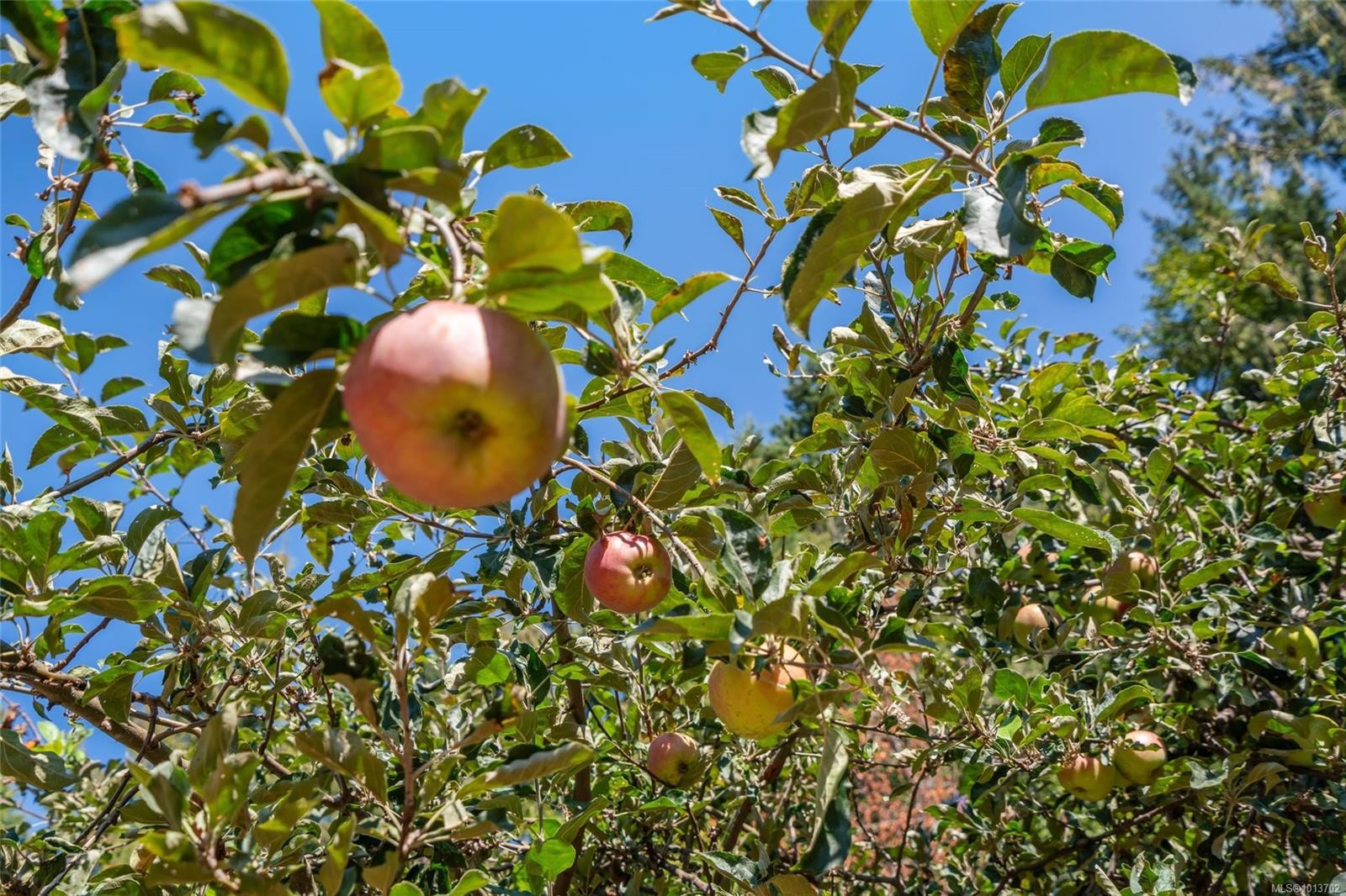 1353 Englishman River Rd, Errington, BC