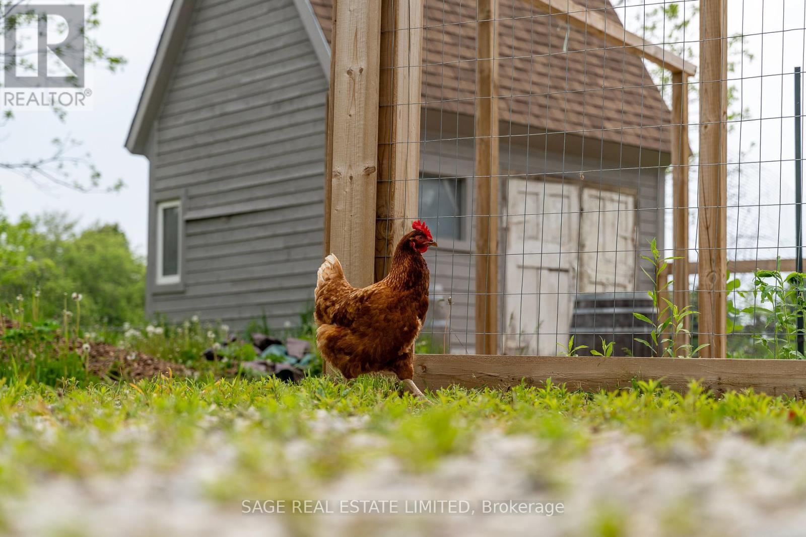 356598 The Blue Mountains- Euphrasia, Grey Highlands, ON - Outdoor