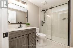 Lower level bathroom -