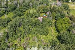 adjacent 2+ acres of imagination space -