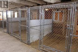 Inside lower level barn kennels -