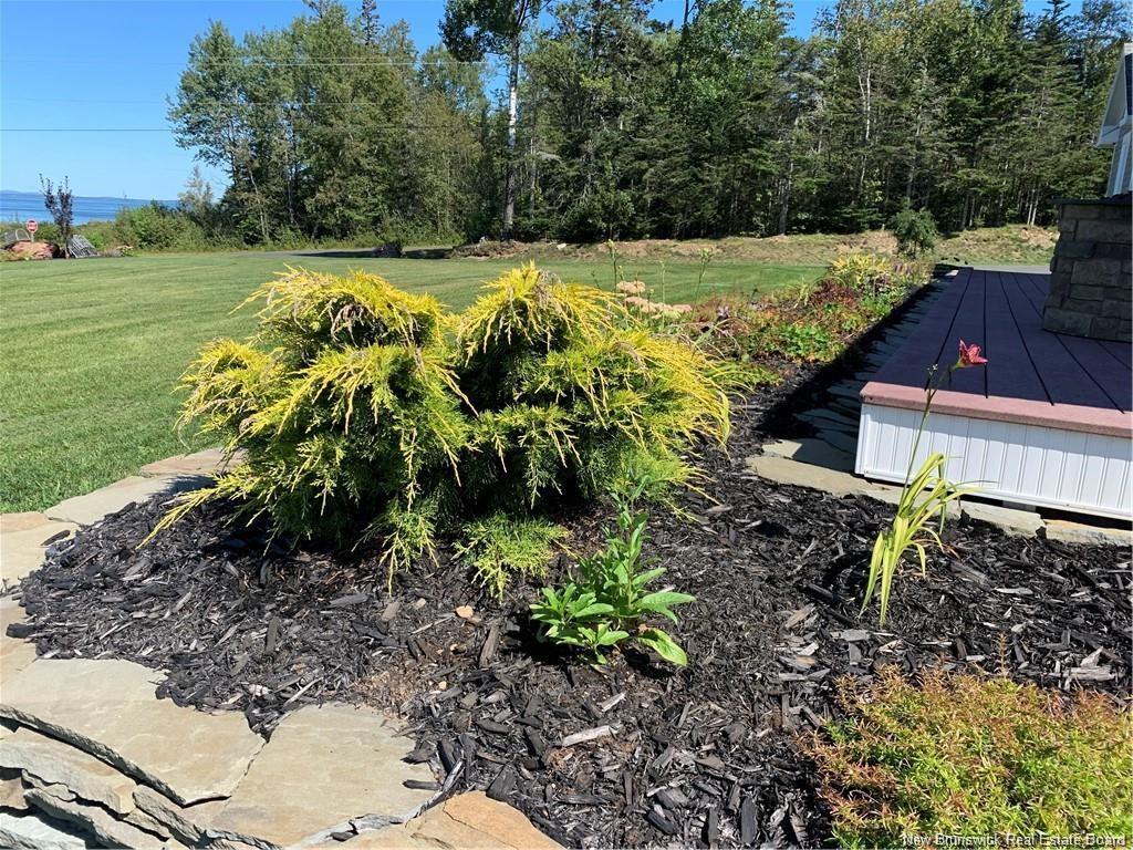 905 Fundy Dr, Campobello Island, NB