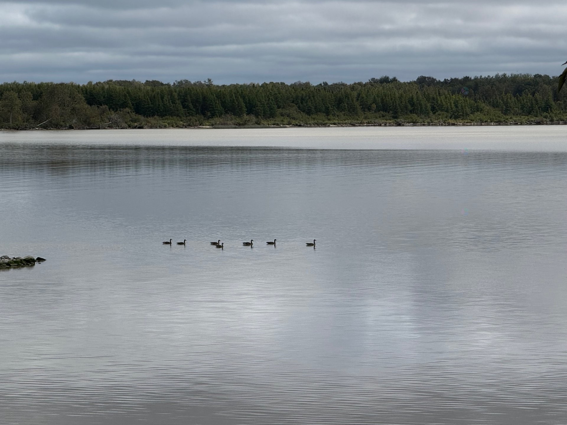 Water view - 340 Plage Trudel, Clerval, QC - Outdoor With Body Of Water With View