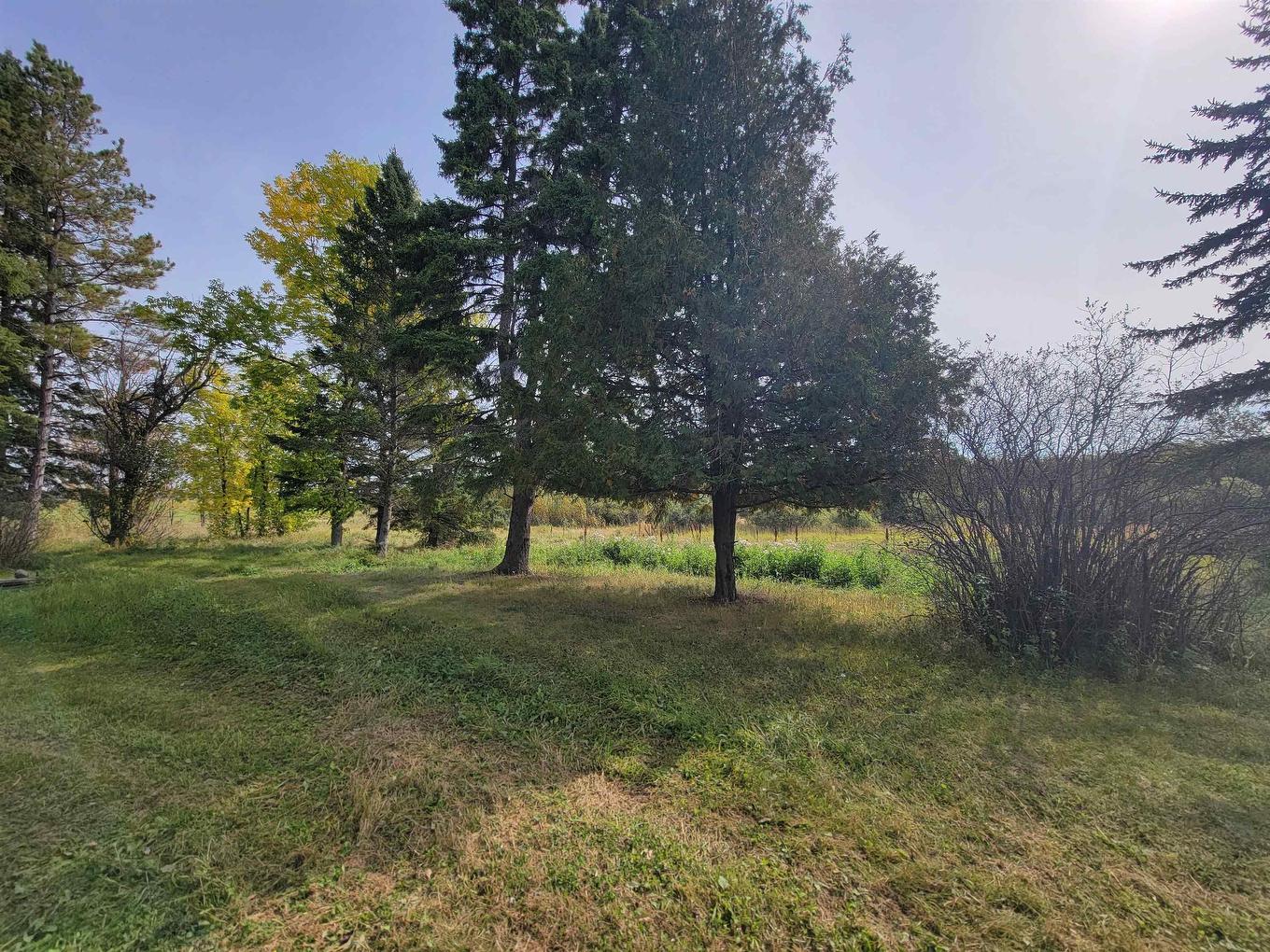 37 Jewett Rd, Stratton, ON - Outdoor With View