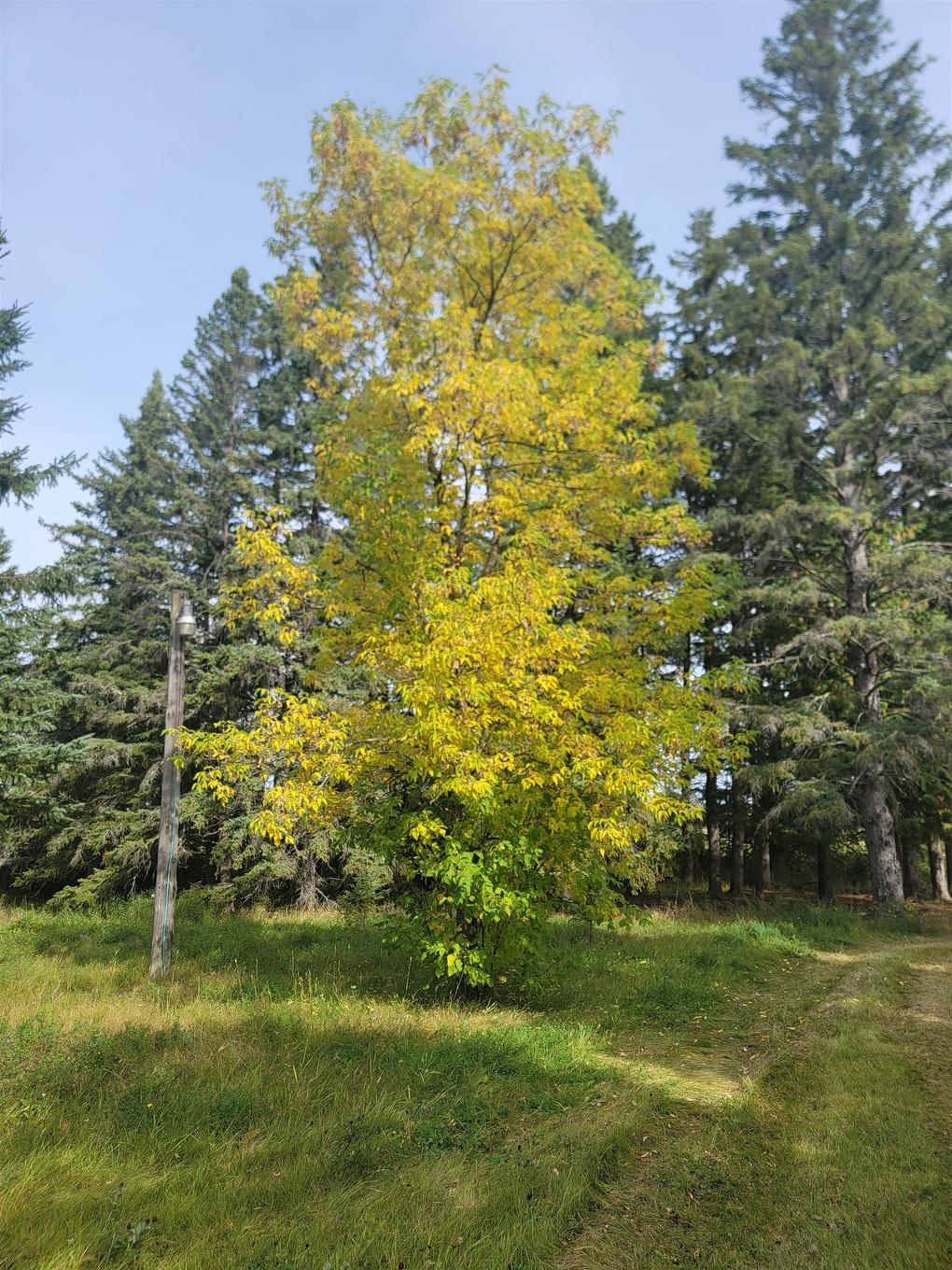 37 Jewett Rd, Stratton, ON - Outdoor With View