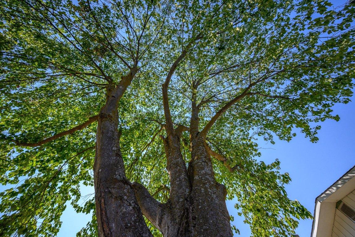 2506 14 Street, Vernon, BC - Outdoor