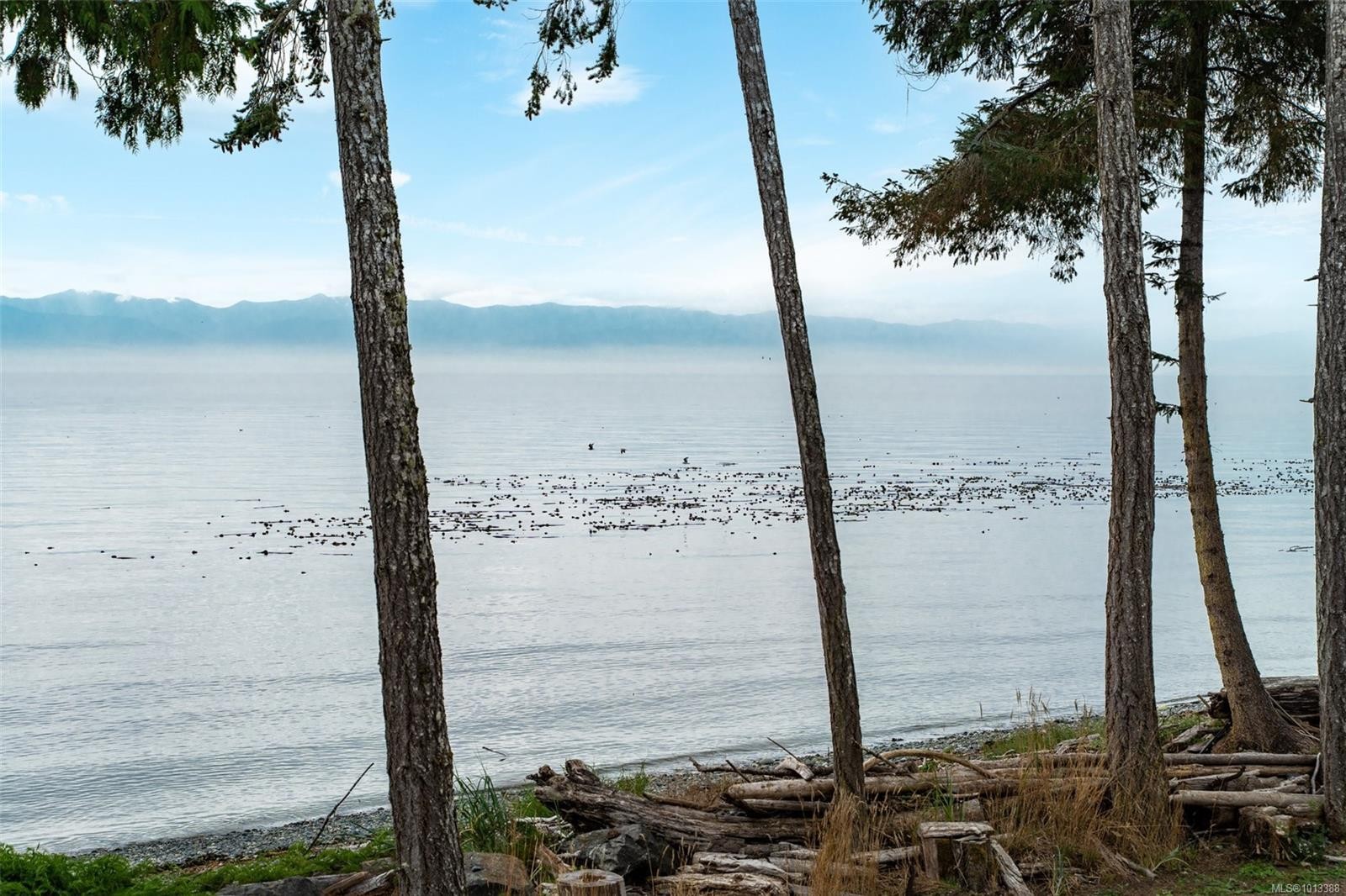 8801 West Coast Rd, Sooke, BC