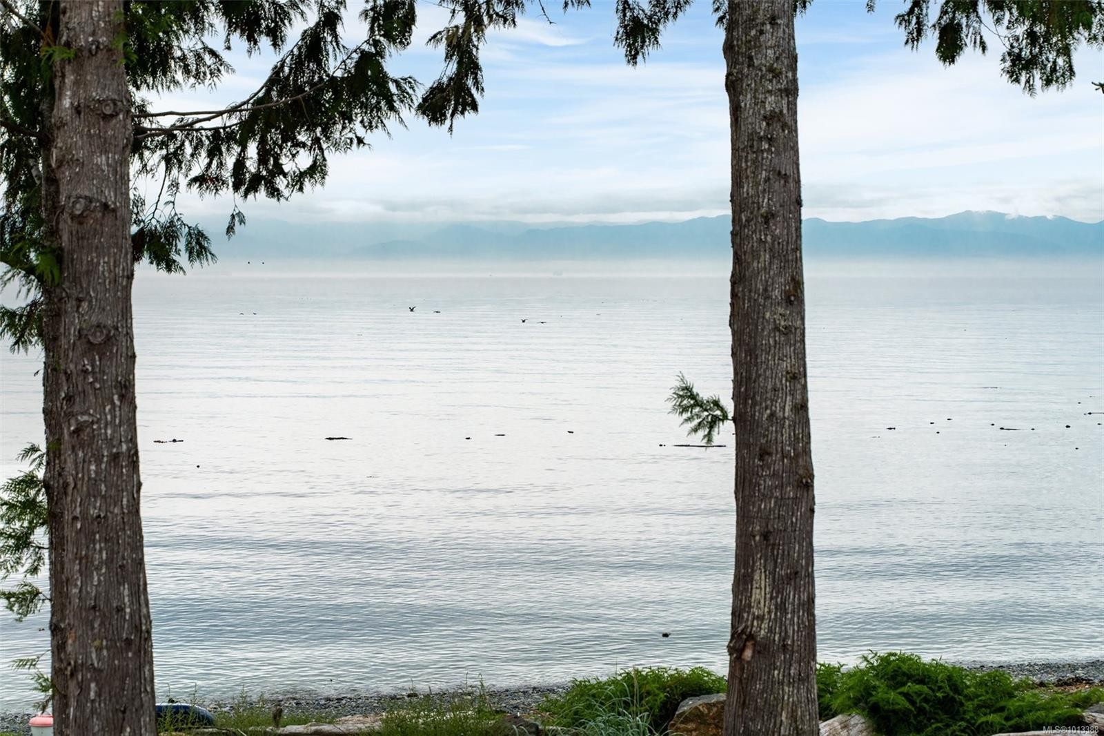 8801 West Coast Rd, Sooke, BC