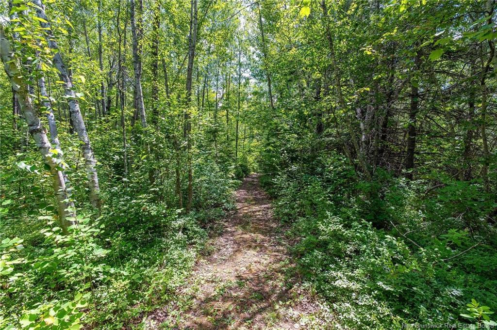 3527 510 Rte, Fords Mills, NB