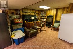 lower level rec room -
