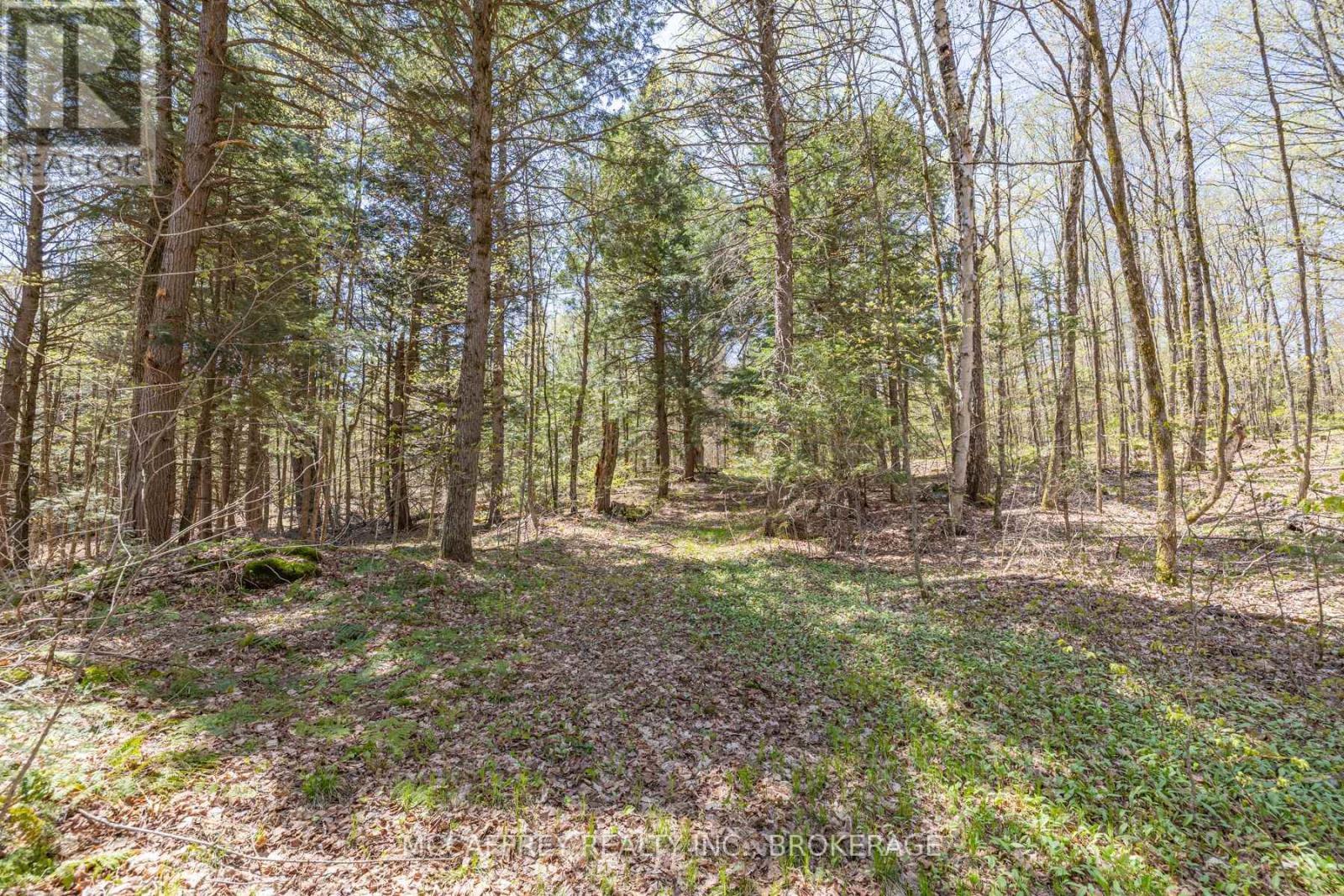 1088 Kashwakamak Lake Road, Frontenac (Frontenac North), ON