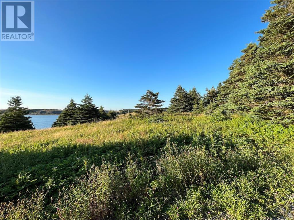 117 Cape Shore Highway, Point Verde, NL