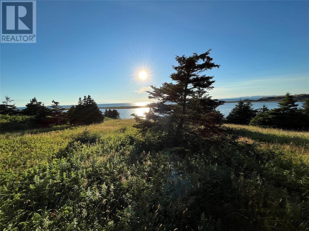 117 Cape Shore Highway, Point Verde, NL