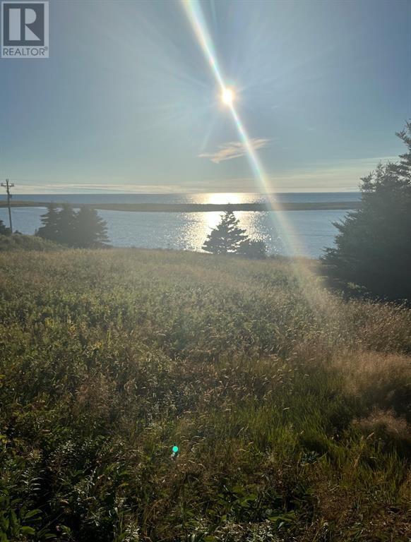 117 Cape Shore Highway, Point Verde, NL
