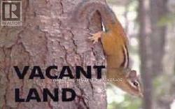 . LOWER SLASH ROAD Tyendinaga (Mohawks Of The Bay Of Quinte), ON K0K 1X0